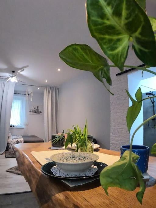 Urocze Studio W Sercu Cieplic Warmbrunn Εξωτερικό φωτογραφία
